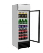 Single Door Display Cooler Fridge with Merchandising Canopy – SS-P360WA